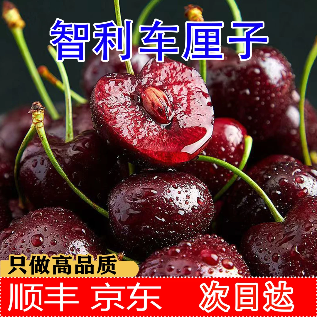 【顺丰速运】快递拉宾斯海运智利车厘子5斤JJJ礼盒 内附果径卡