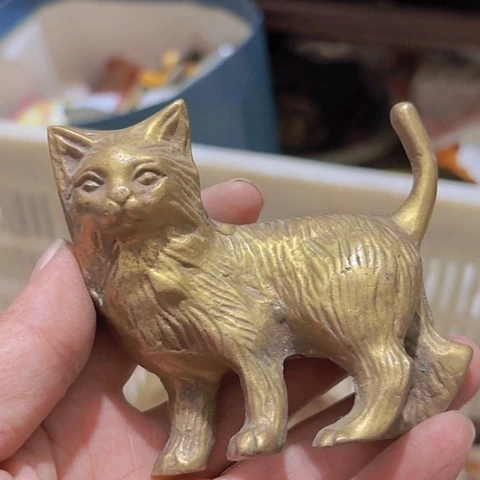 香榧木洪**主Fgffhhffggghcf