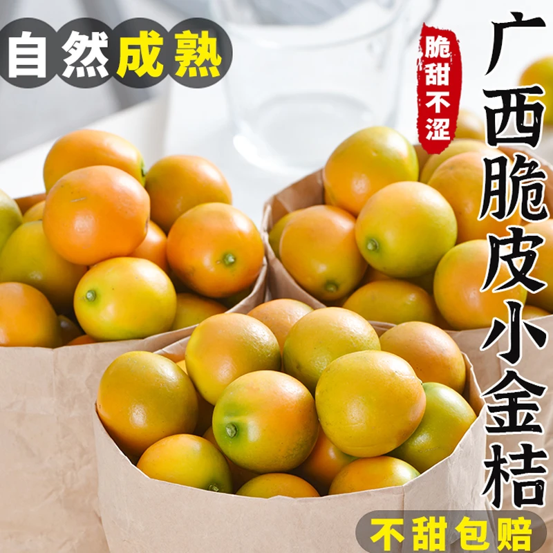 正宗广西融安脆皮金桔橘子新鲜水果脆蜜滑皮金柑香甜多汁皮薄无籽