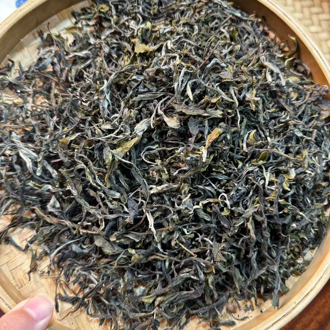 【小刚家的茶】6-25【LC260】2025年白莺山原生小叶种 生散（晒青毛茶）