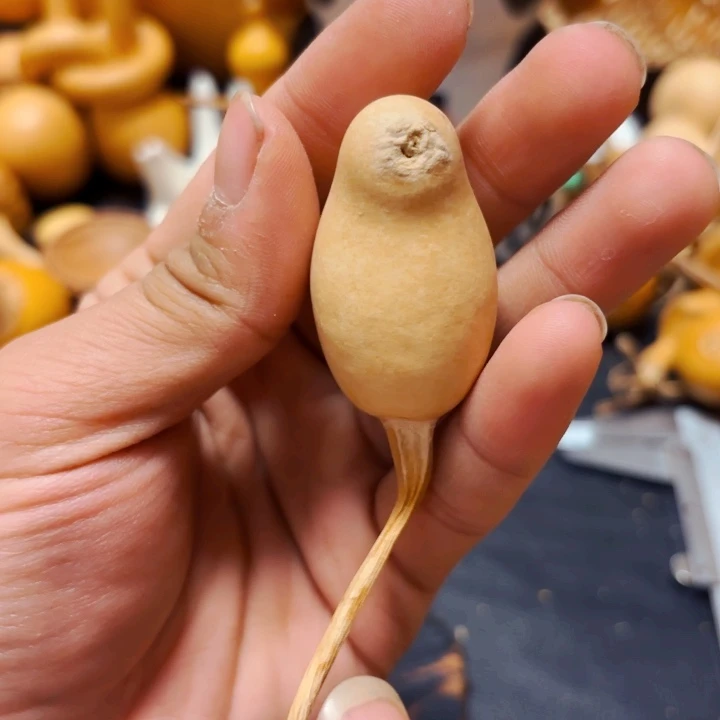 飠*?88888888899998888888