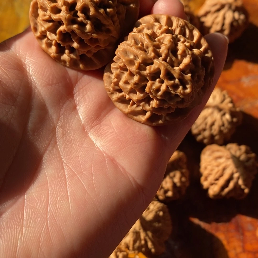 秦岭野生核桃秦闷