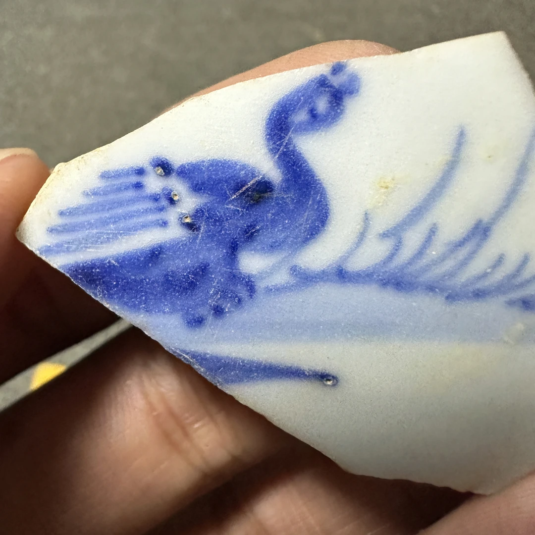 崇小鸭子一个瓷片标本