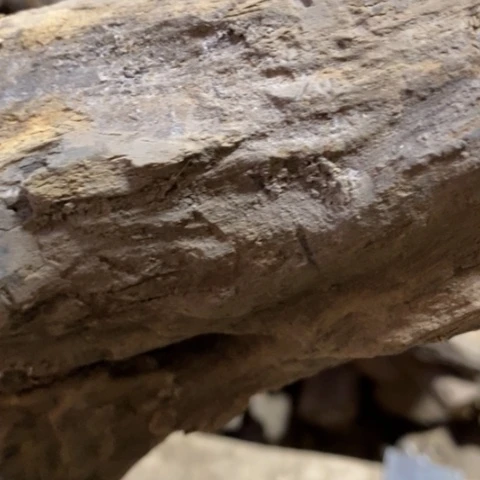 醉***卧贡木把件定制1236654789098