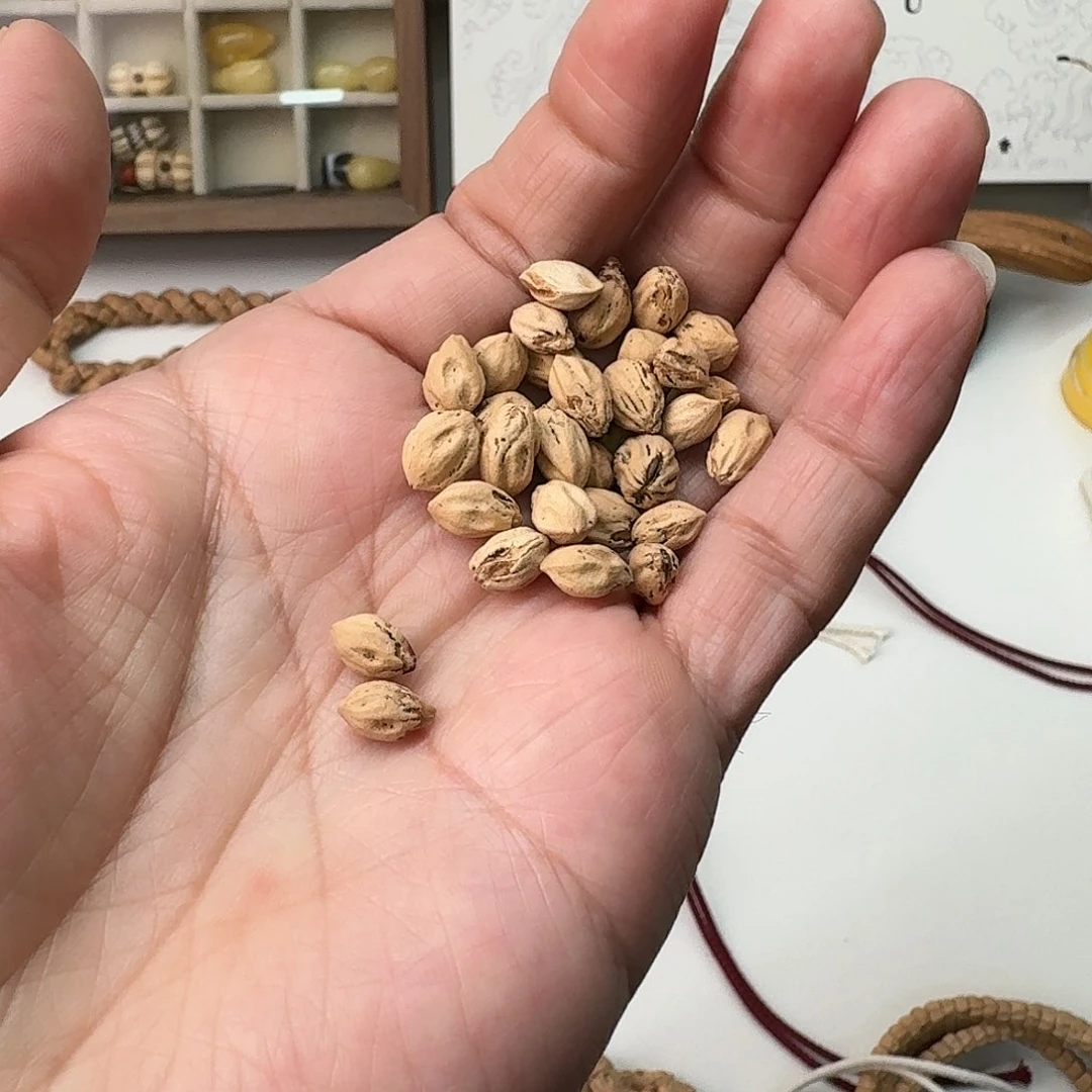 【闪购商品】手串柏香籽/百香籽⭐️**热振柏香籽