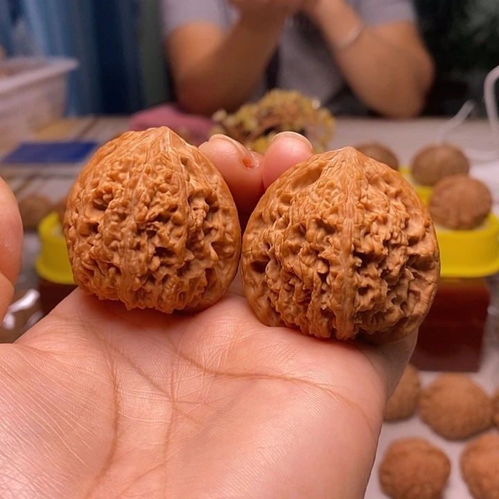 核桃43尺无名狮子头核桃