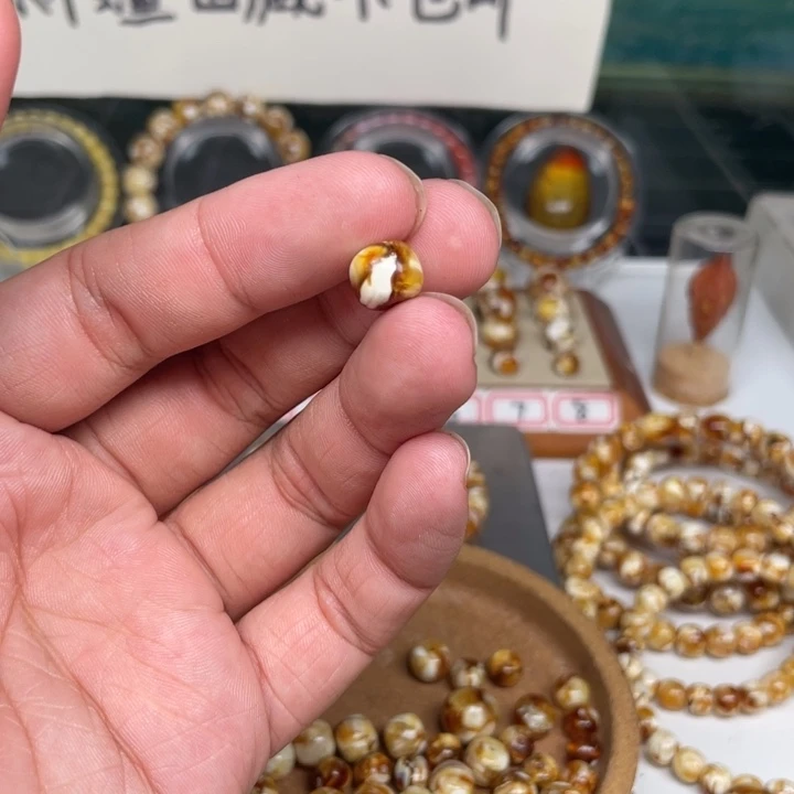 晚***秋琥珀未镶嵌裸石10号