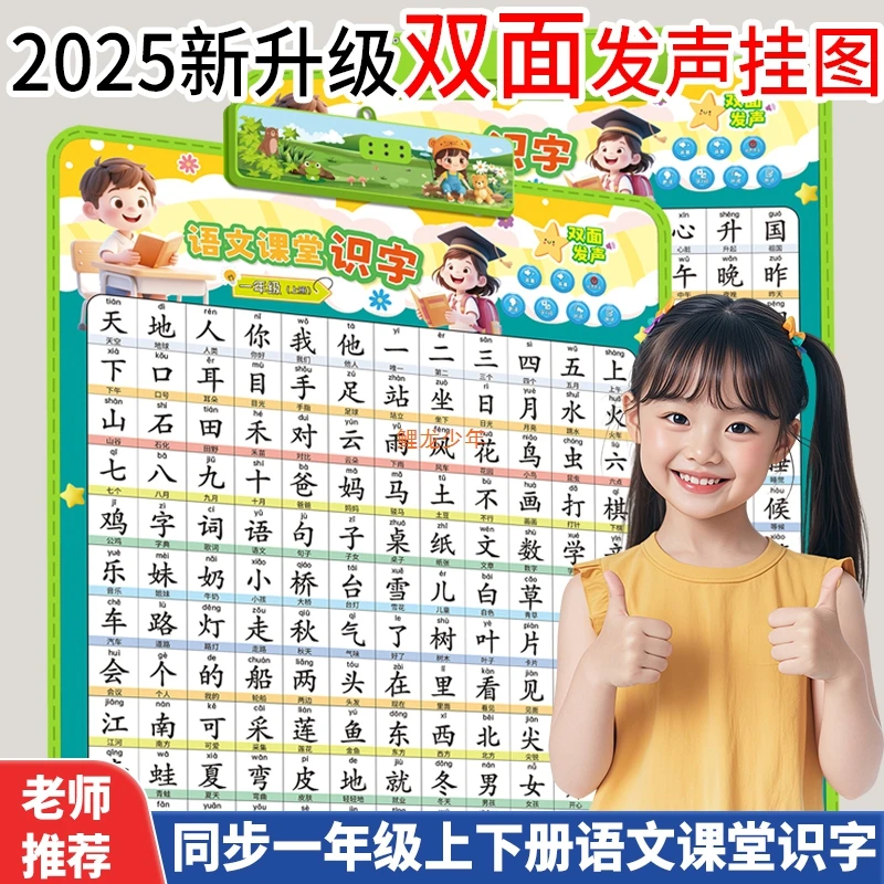 双面点读精品有声挂图幼儿看图识字同步认识汉字幼小衔接早教玩具