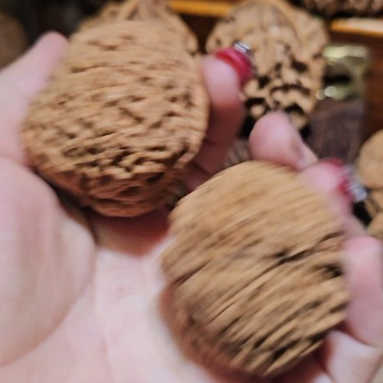 吊坠文玩核桃42金蝉