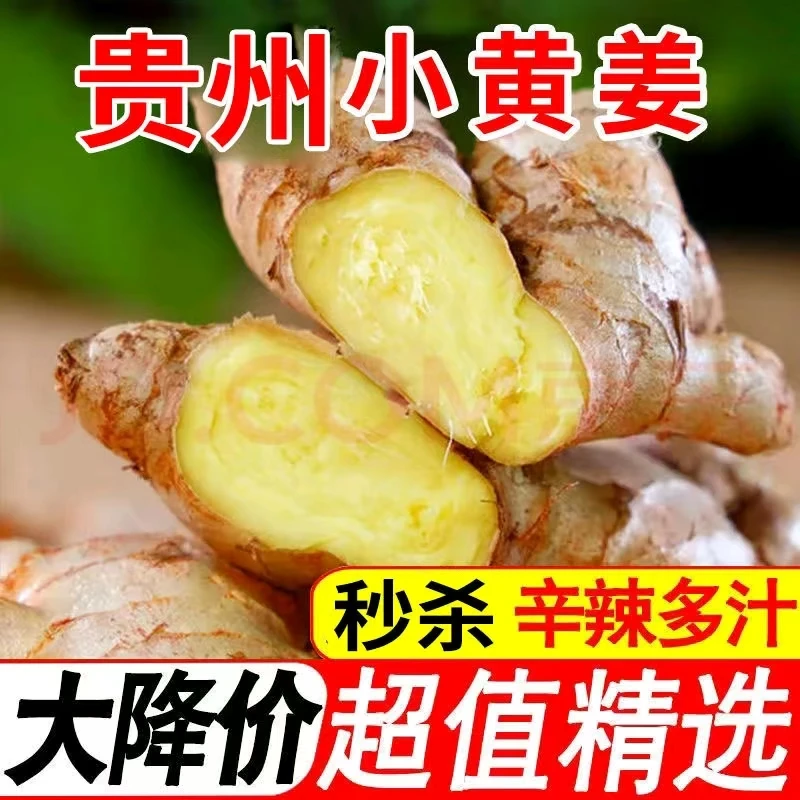 原生态正宗贵州小黄姜香味浓郁辛辣够味现挖高山种植老姜产地直销