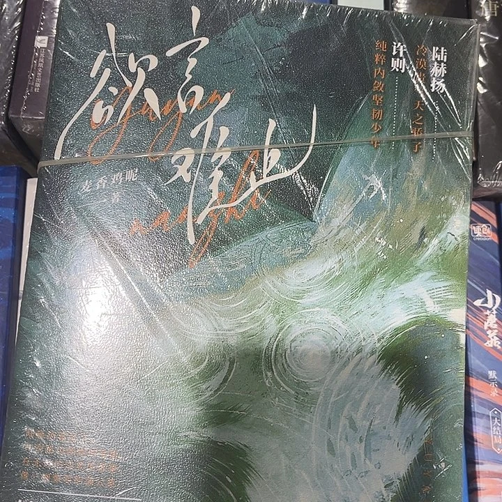 欲言难止全新全套两本带周边