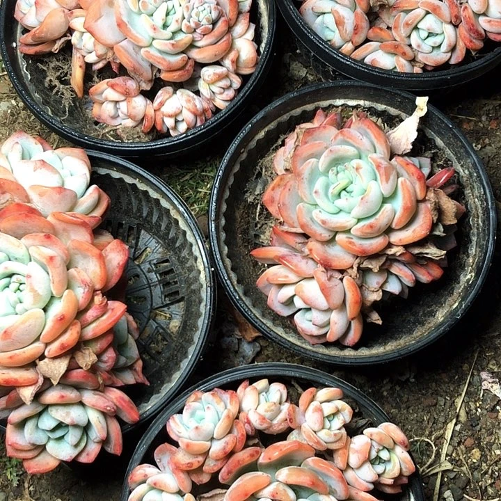 22/////////////////////