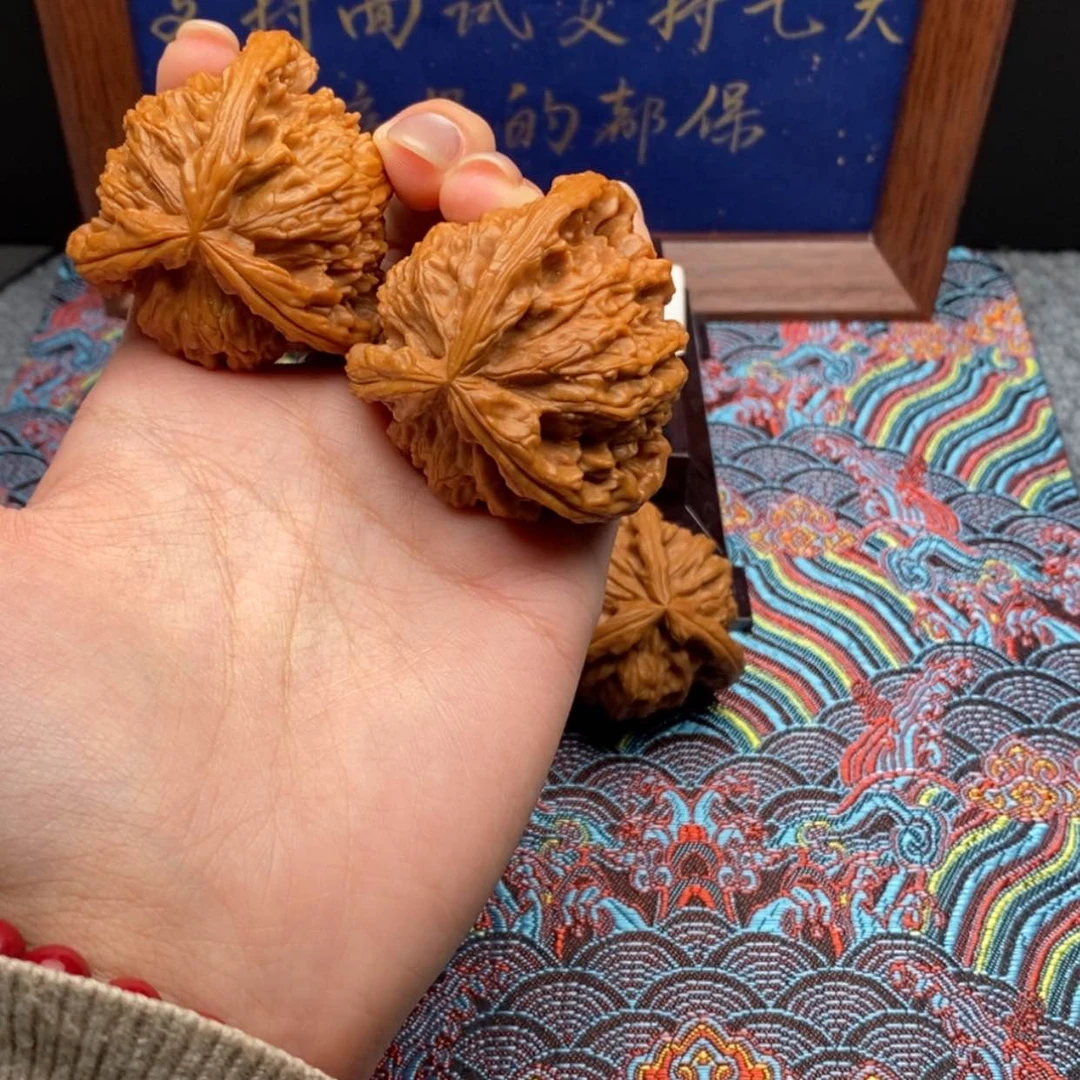 【闪购商品】天****z白狮