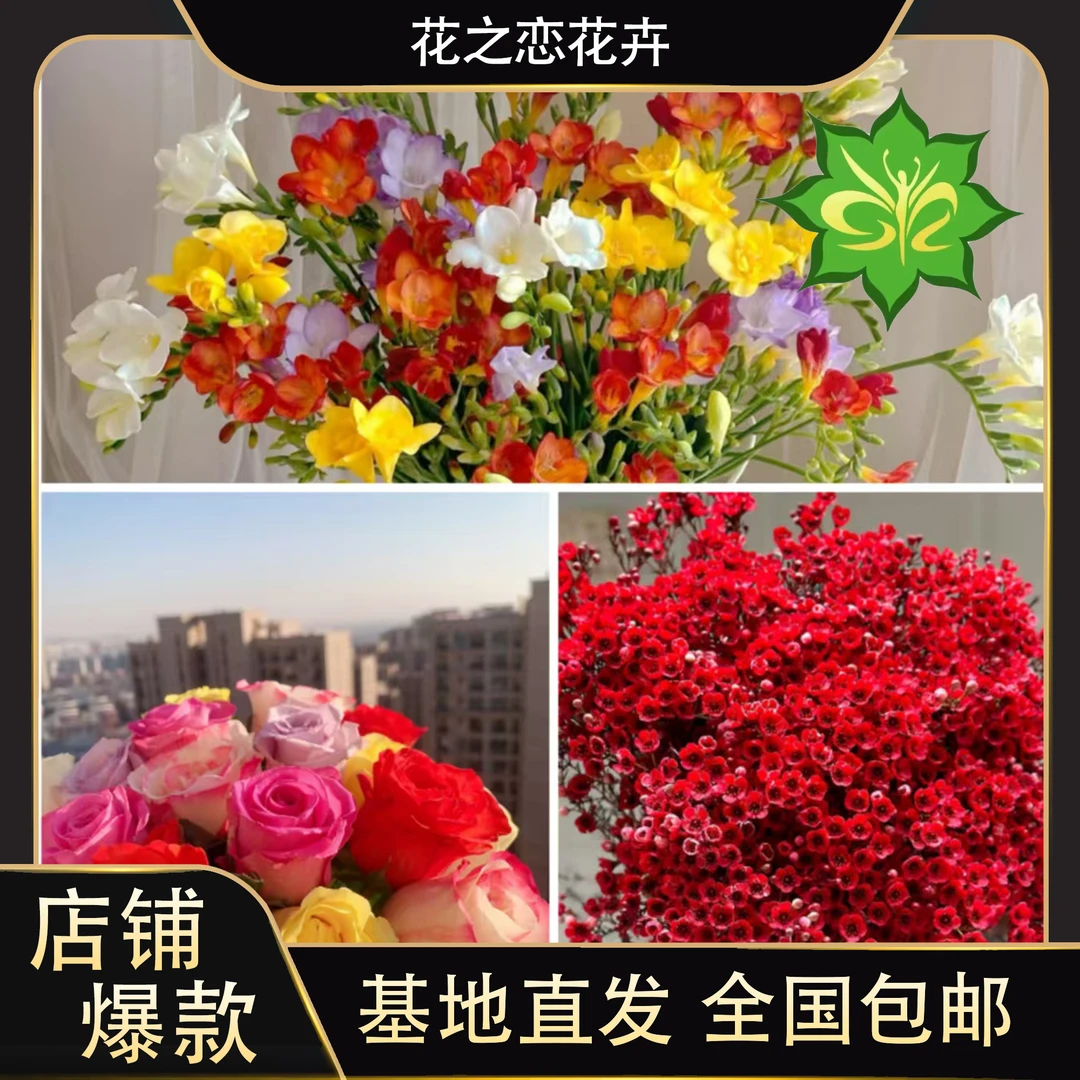 回归福利鲜花组合   居家办公优选《云南基地发货》