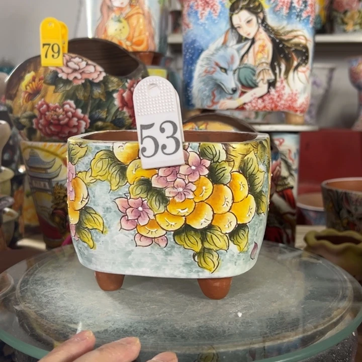 是***！景德镇幸运花盆小号直播间