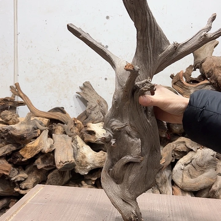 柏木a****4我们的生活是以自己