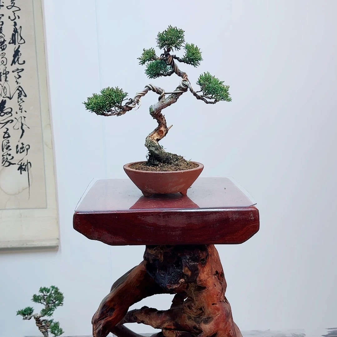 广***业完全开放一物一丝哦济州