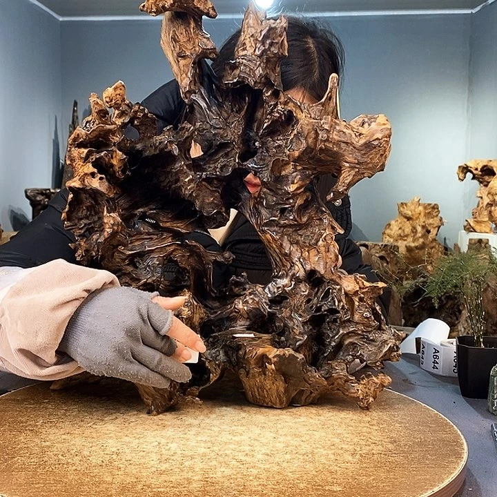 茶盏苹**萝642株木的随行的根艺