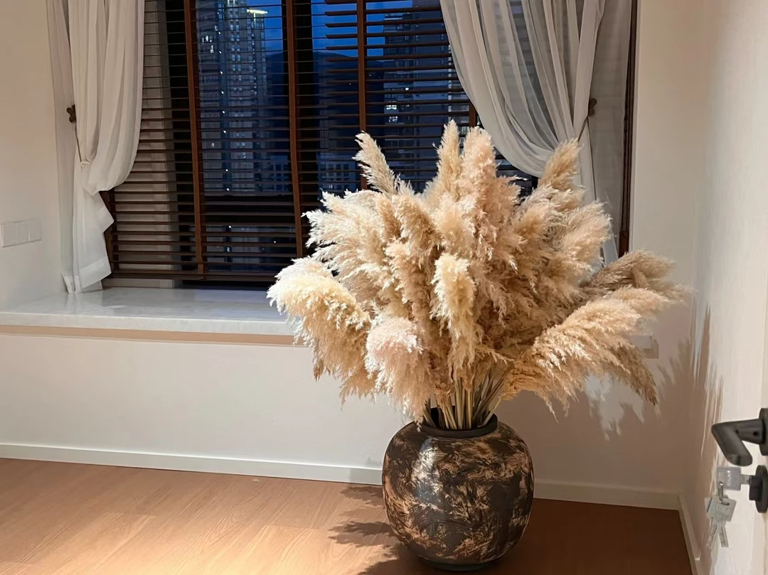天然芦苇干花花束不掉毛落地网红蒲苇大穗ins客厅奢装饰进口精选