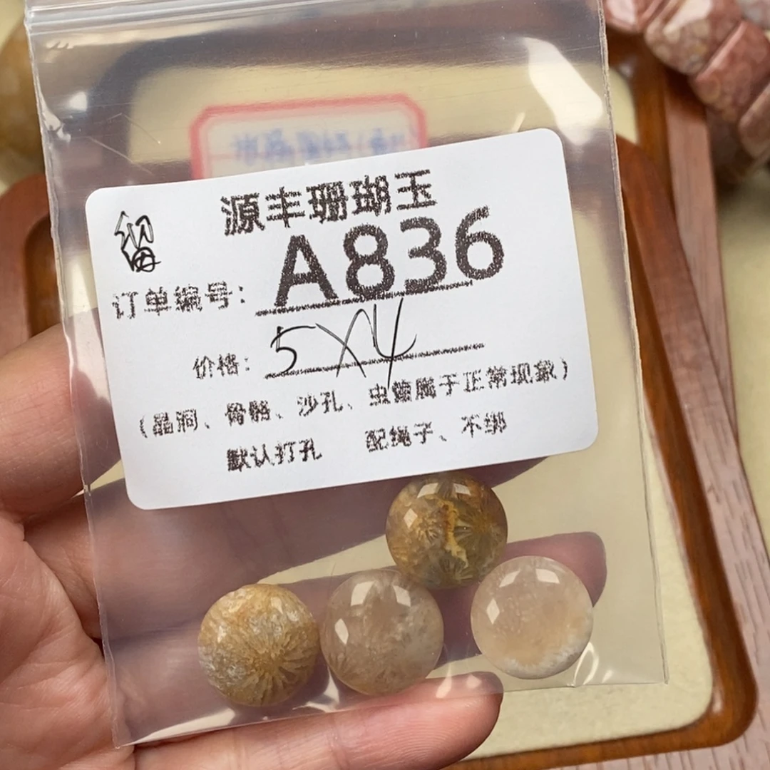 留***云硅化玉未镶嵌颈饰