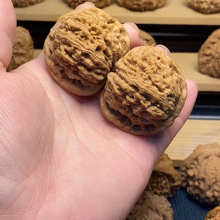 核桃43全品球疆福利核桃