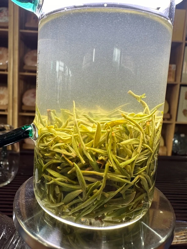 2025新茶信阳毛尖明前一芽一叶口感香甜醇厚雨前原产地自产自销