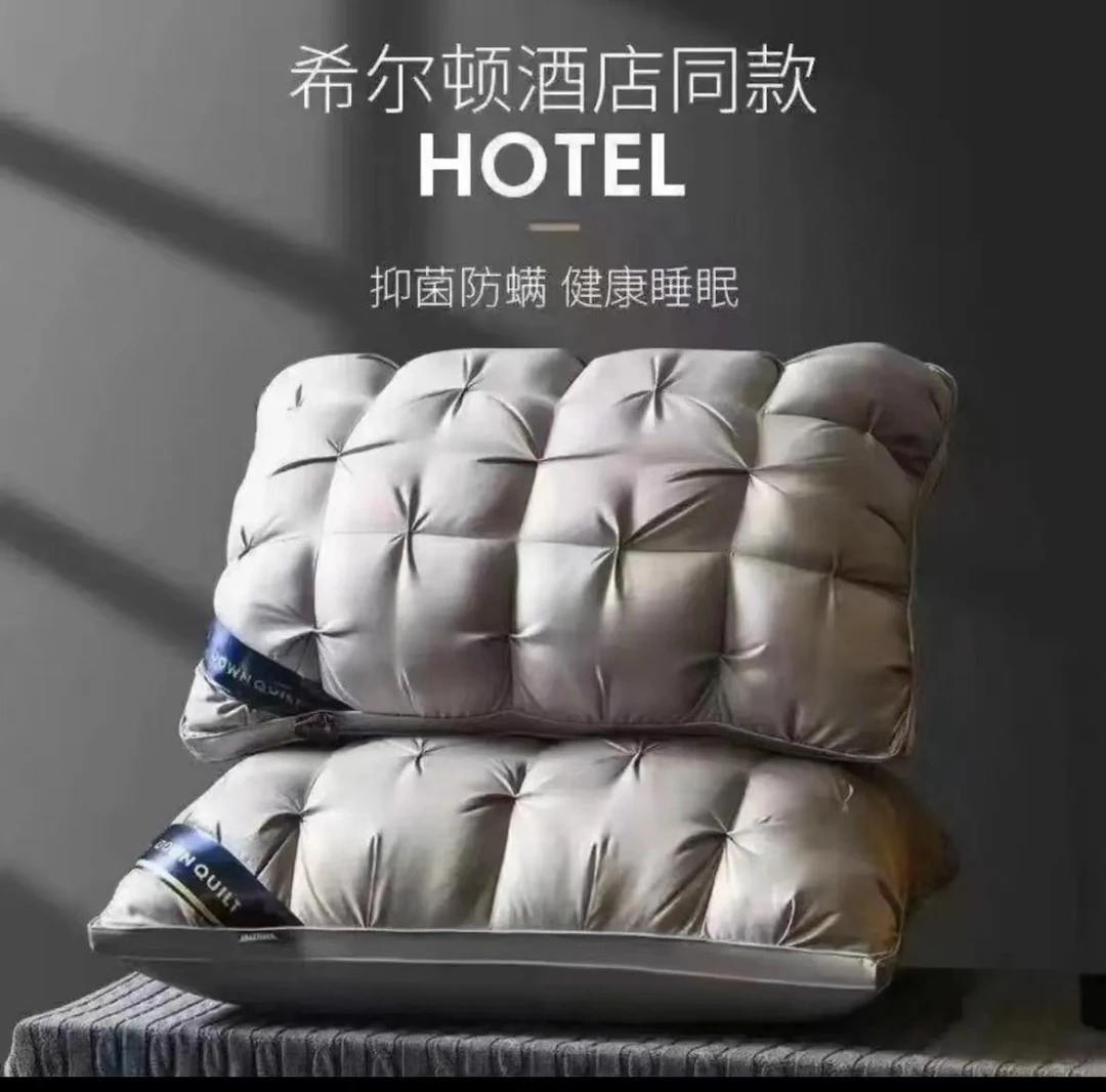 护颈家用不塌陷不变形48*74cm枕芯一只