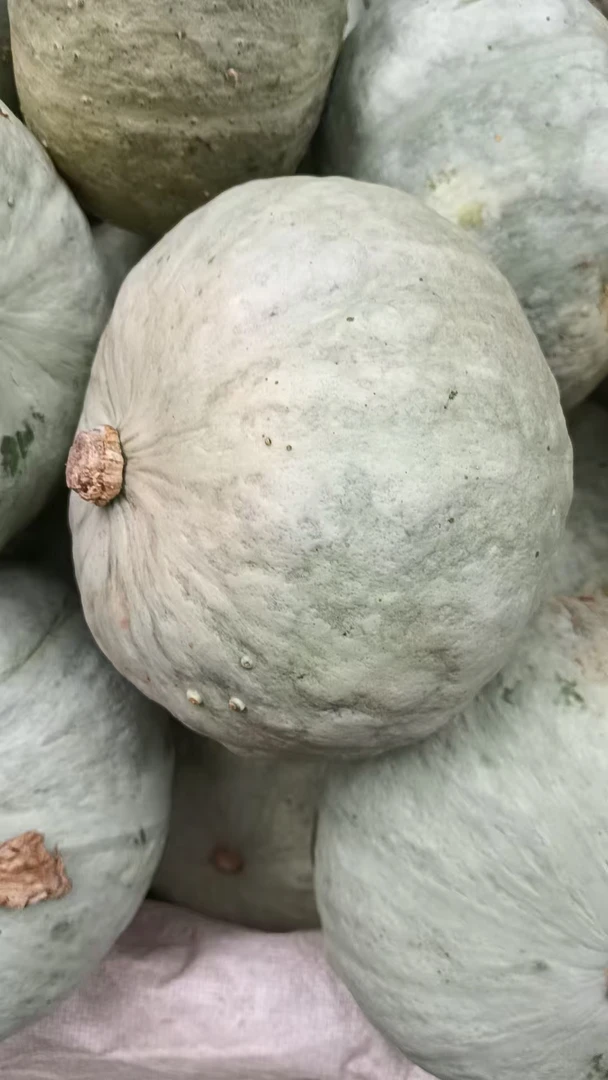 陕西秦岭种植银栗老南瓜粉糯香甜可作宝宝辅食代餐