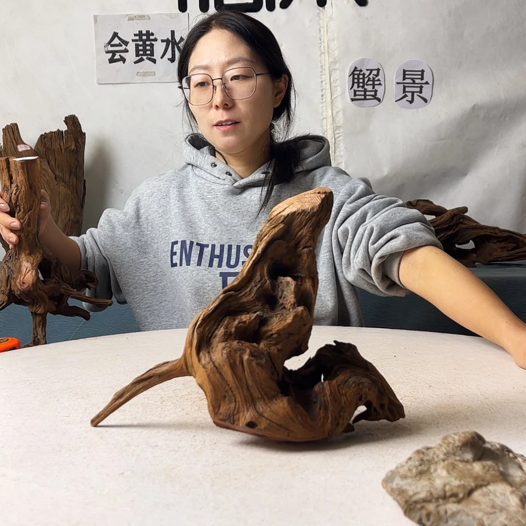 上***车沉木造景爬宠造景