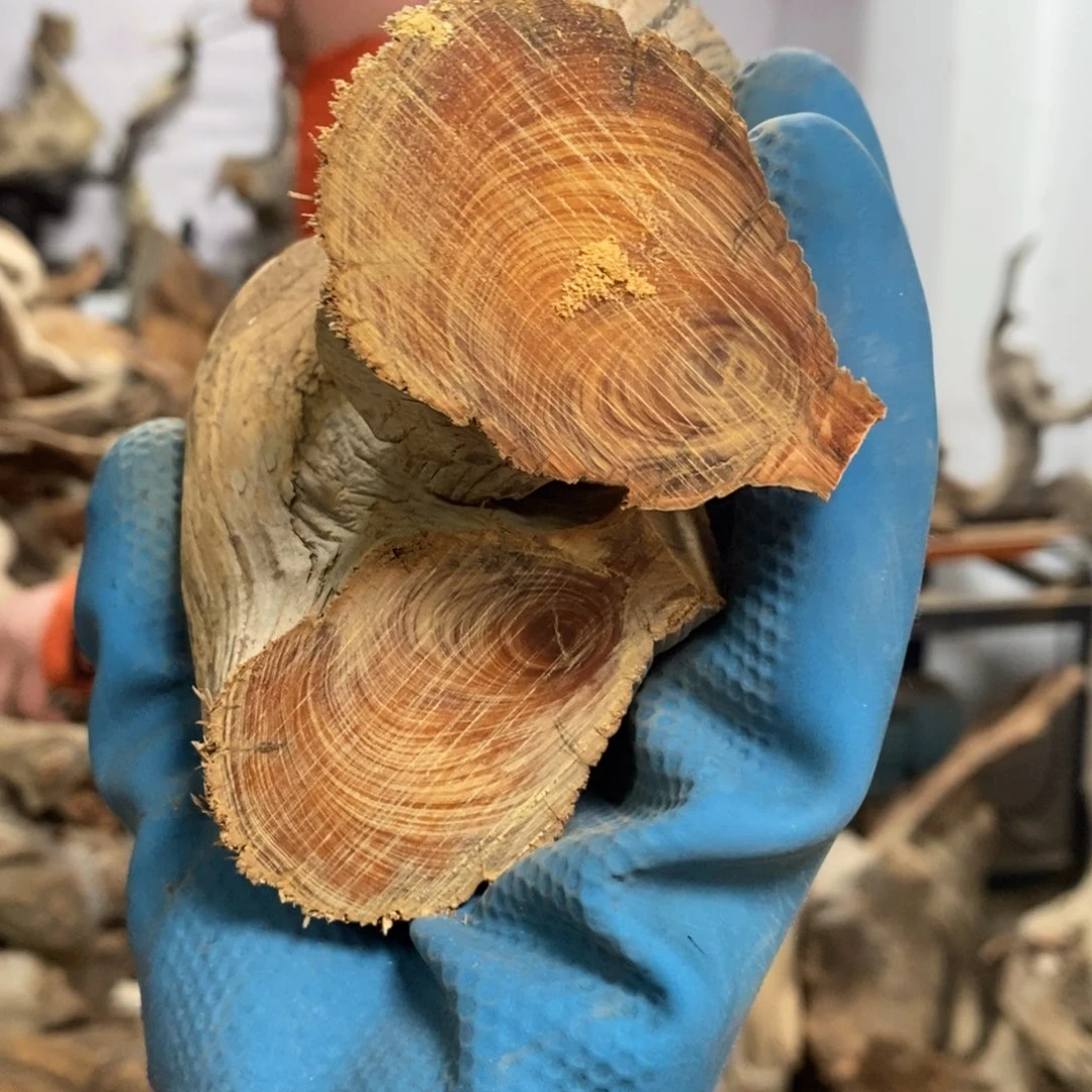 柏木红*我们都是好孩子