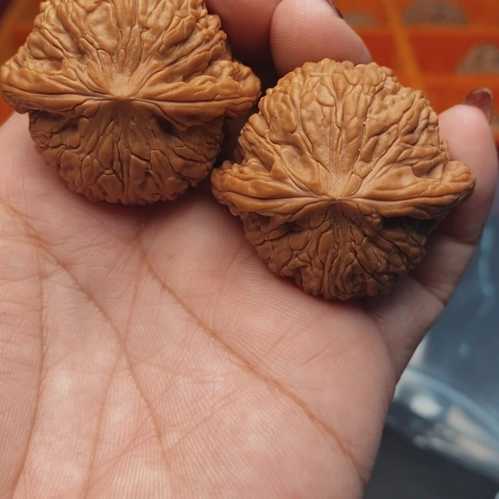 核桃泥鳅背40尺核桃
