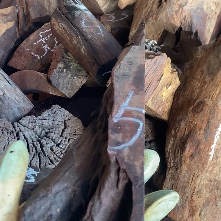 交趾黄檀（大红酸枝）⊙*