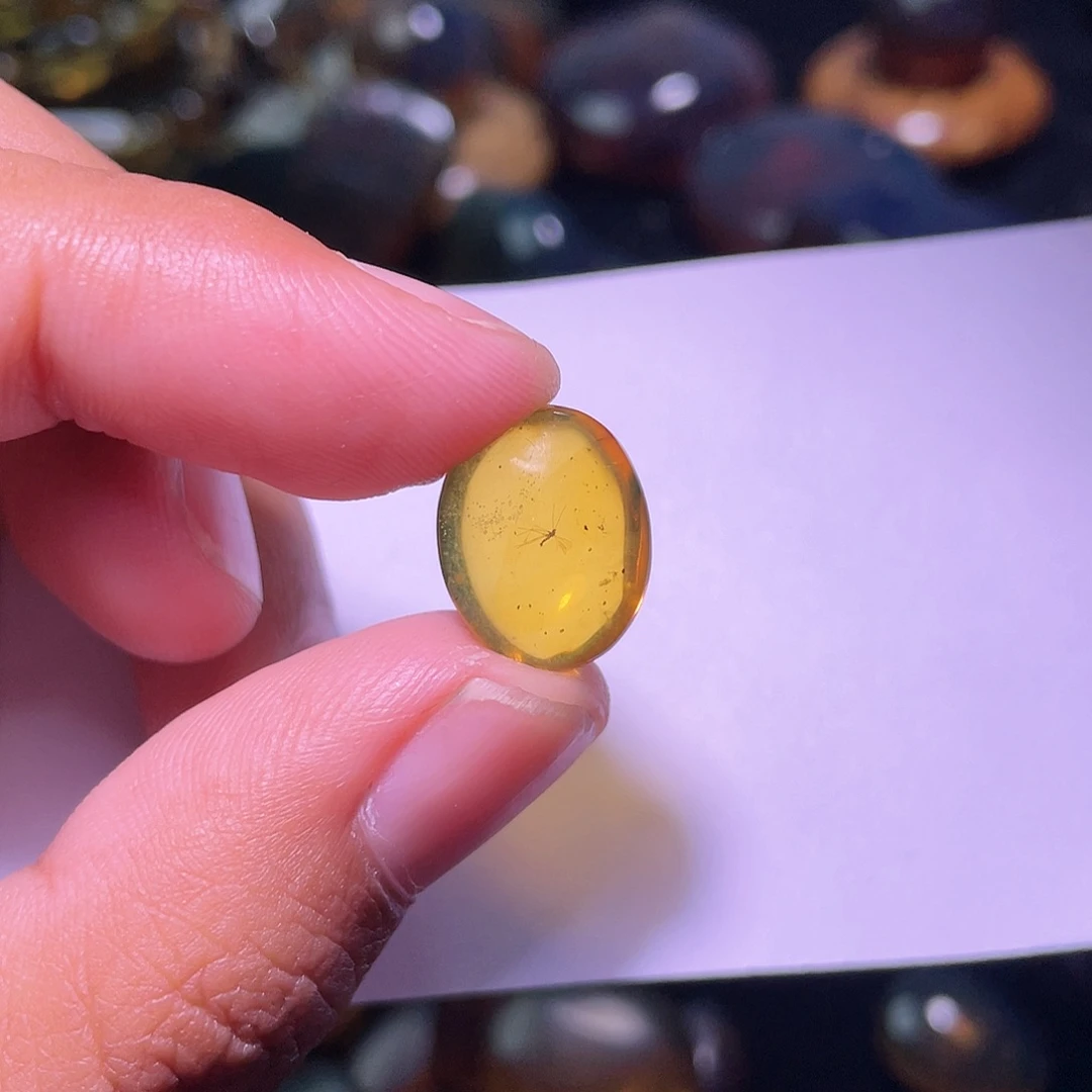 琥珀裸石未镶嵌，