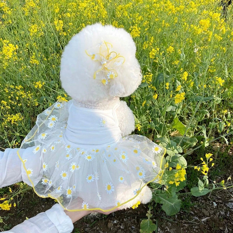 夏季新款薄纱宠物裙子博美泰迪比熊适用小型犬日韩风可爱草莓粉色