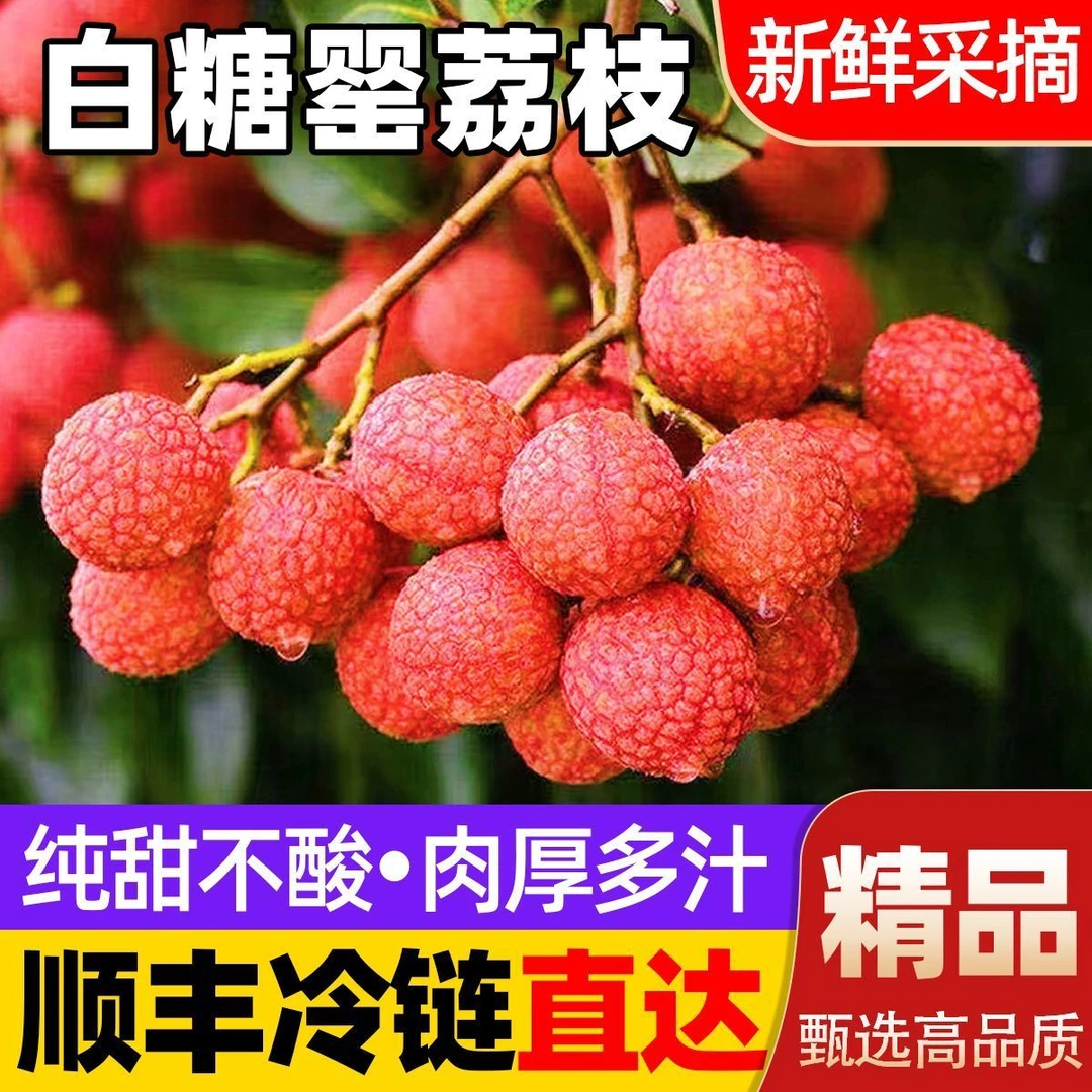 【顺丰冷链】X正宗白糖罂荔枝现摘现发坏果包赔当季新鲜水果荔枝