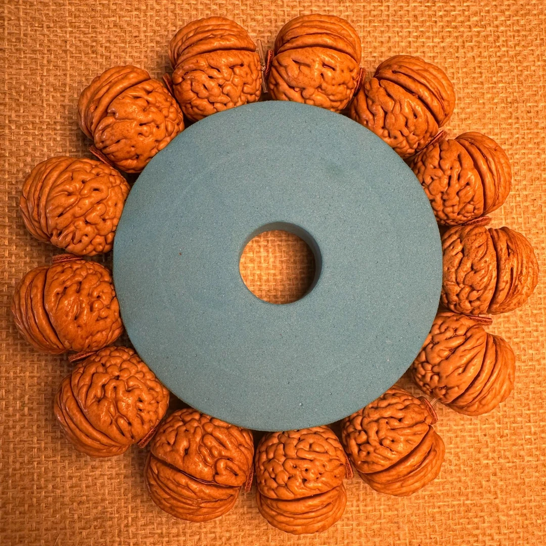 桃核新号开播福利专用链接