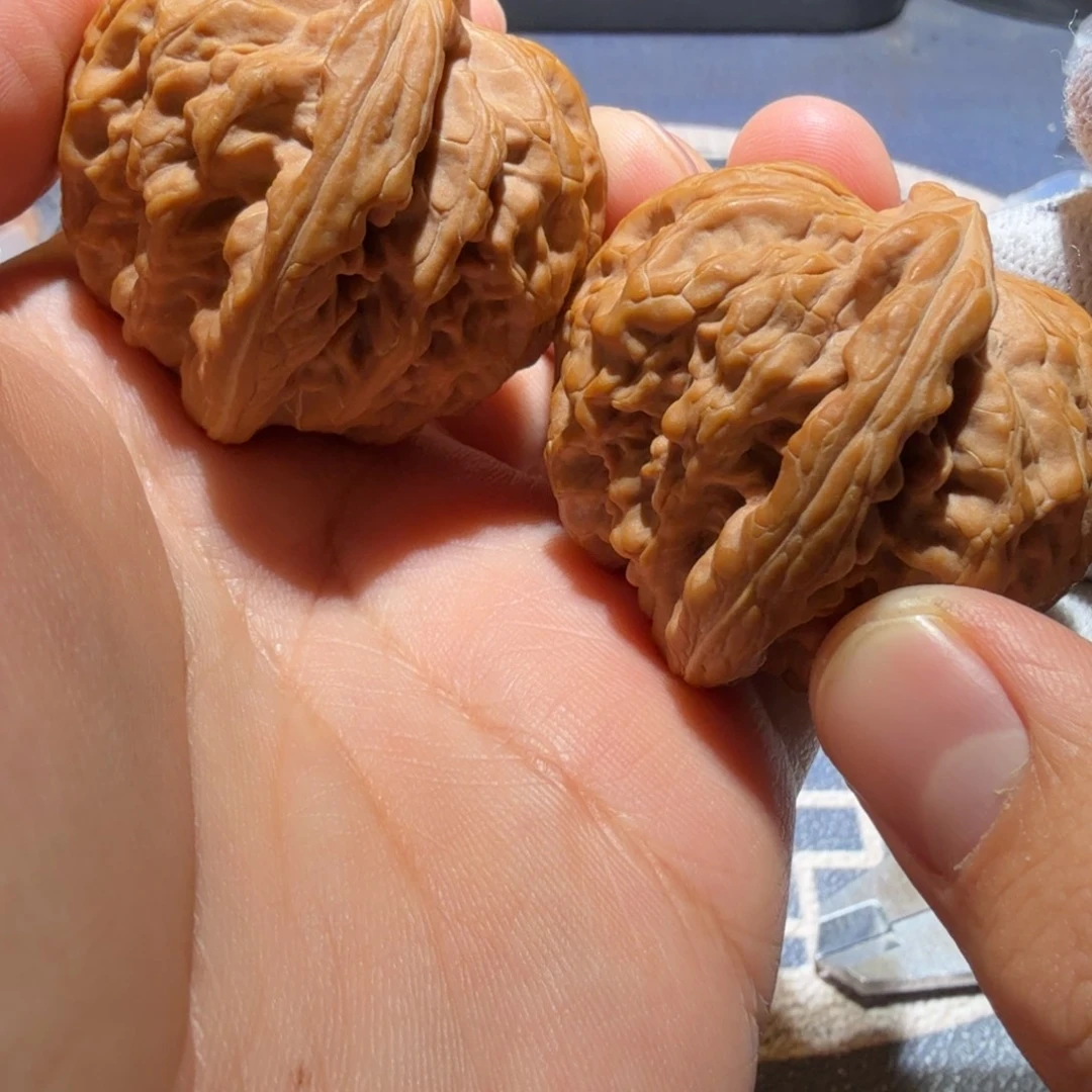 鸡***吃把件文玩核桃红锦鲤