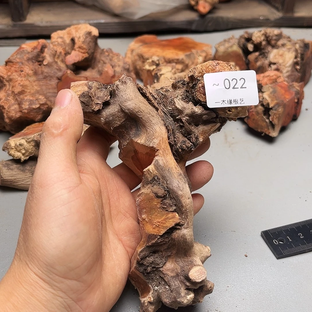 一***红无花朵00000000000022