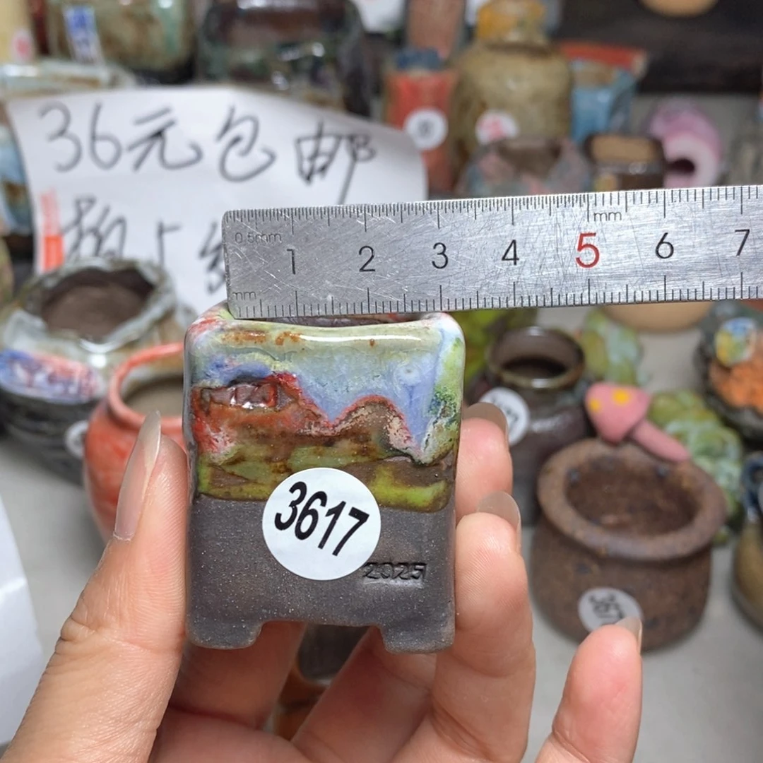 拍5送一个小礼物