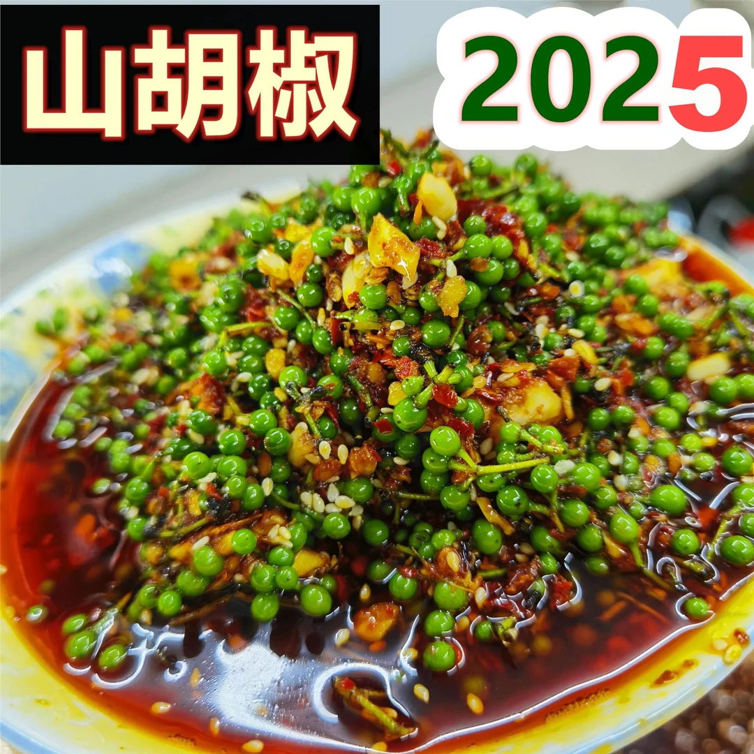 好鄂2025山胡椒酱香辣木姜子酱新鲜调料美食拌饭大酱开胃下饭炒菜