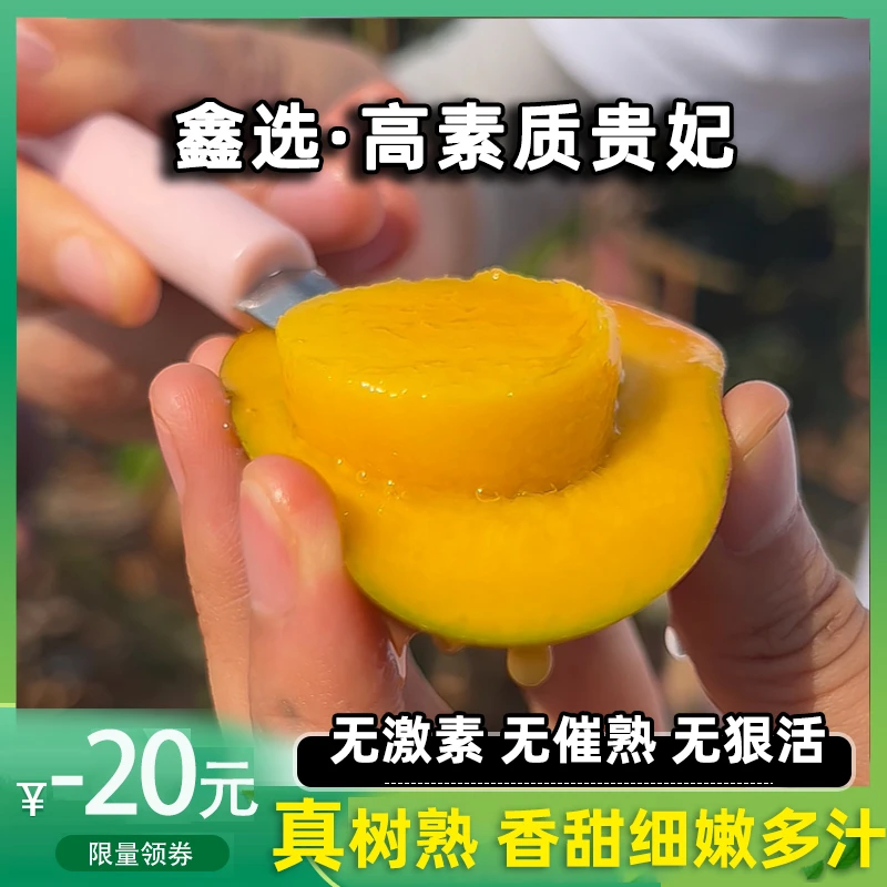 鑫选 海南高素质树上熟贵妃芒果4.5斤香甜可口风味浓郁 顺丰/京东