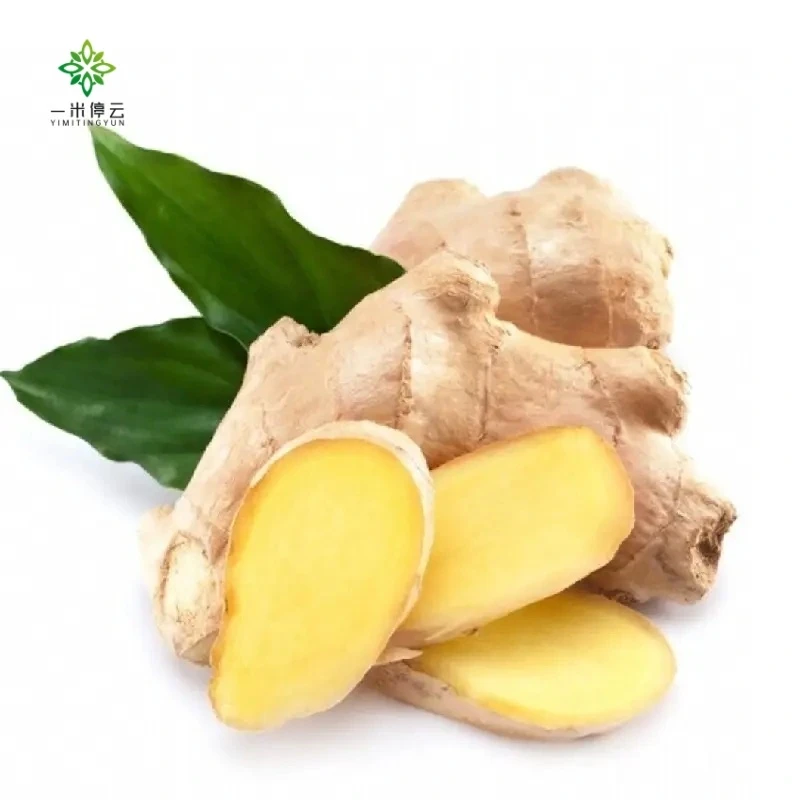 山东精品生姜300±10g/份