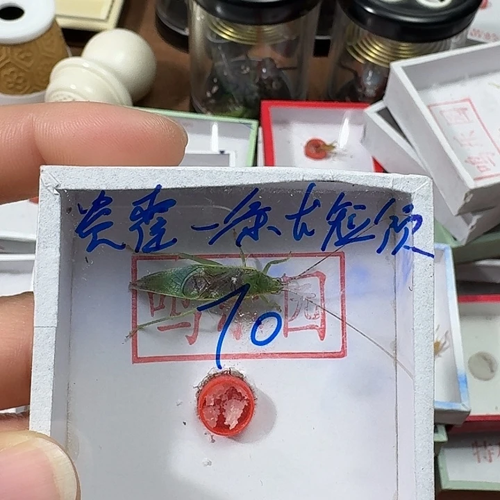 随***军蟋蟀222222222222222