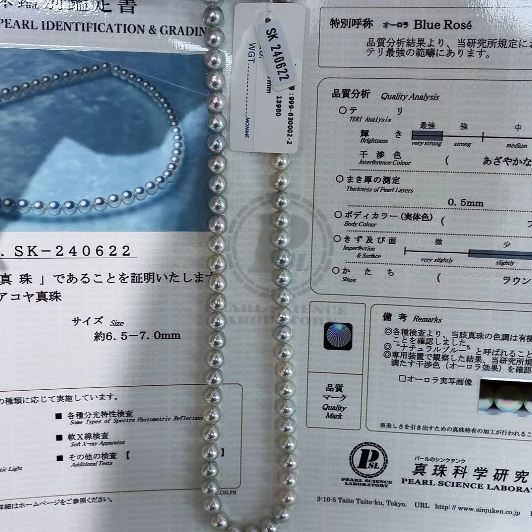 颈饰未镶嵌海水珍珠