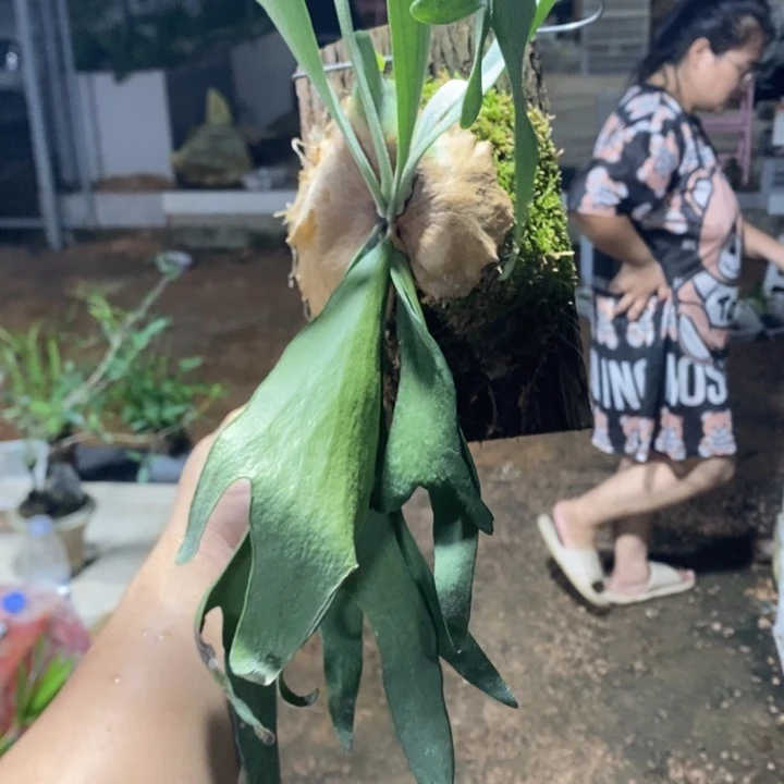 诸*退款拉黑一物一拍122