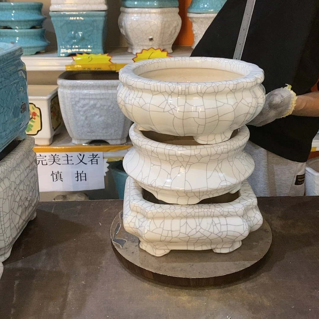 R****司花盆花盆里的花都