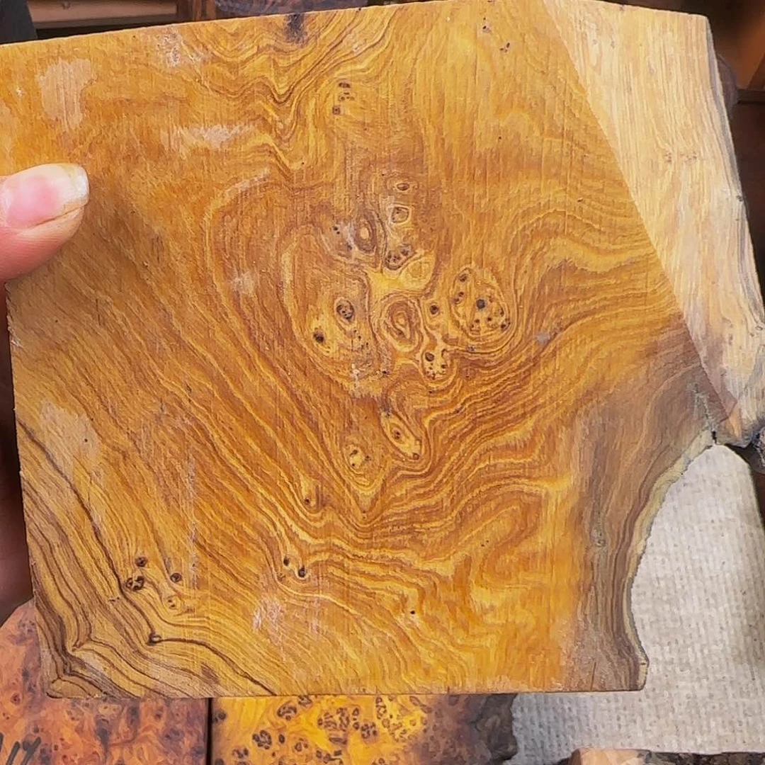 木优***o鬼柳尖叶木栖榄料了