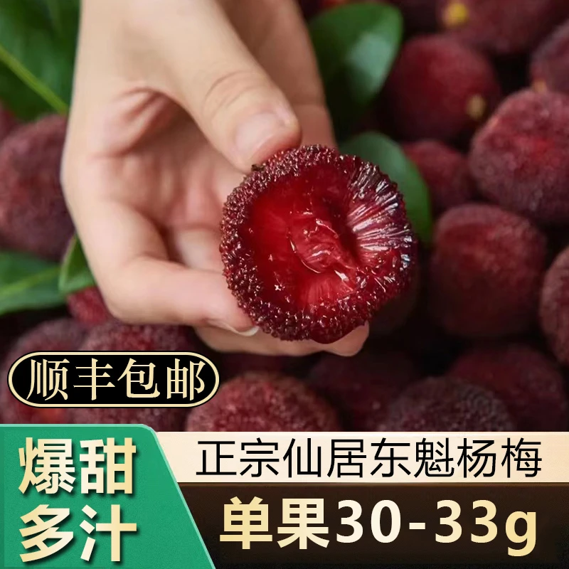 11A颗粒装30-33g露天正宗仙居东魁杨梅新鲜水果顺丰冷链空运