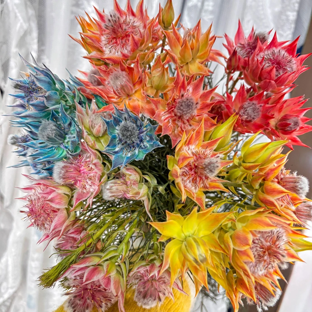 【彩色新娘花】南非进口丝新娘花鲜40cm花花束