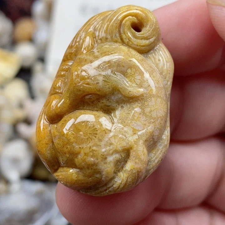 颈饰未镶嵌硅化珊瑚（珊瑚玉）小